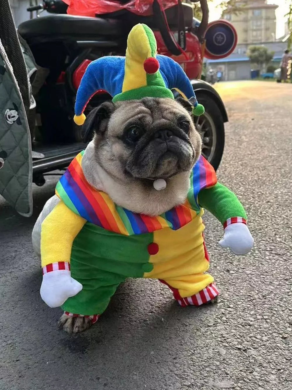 Clown pet jumpsuit with hat